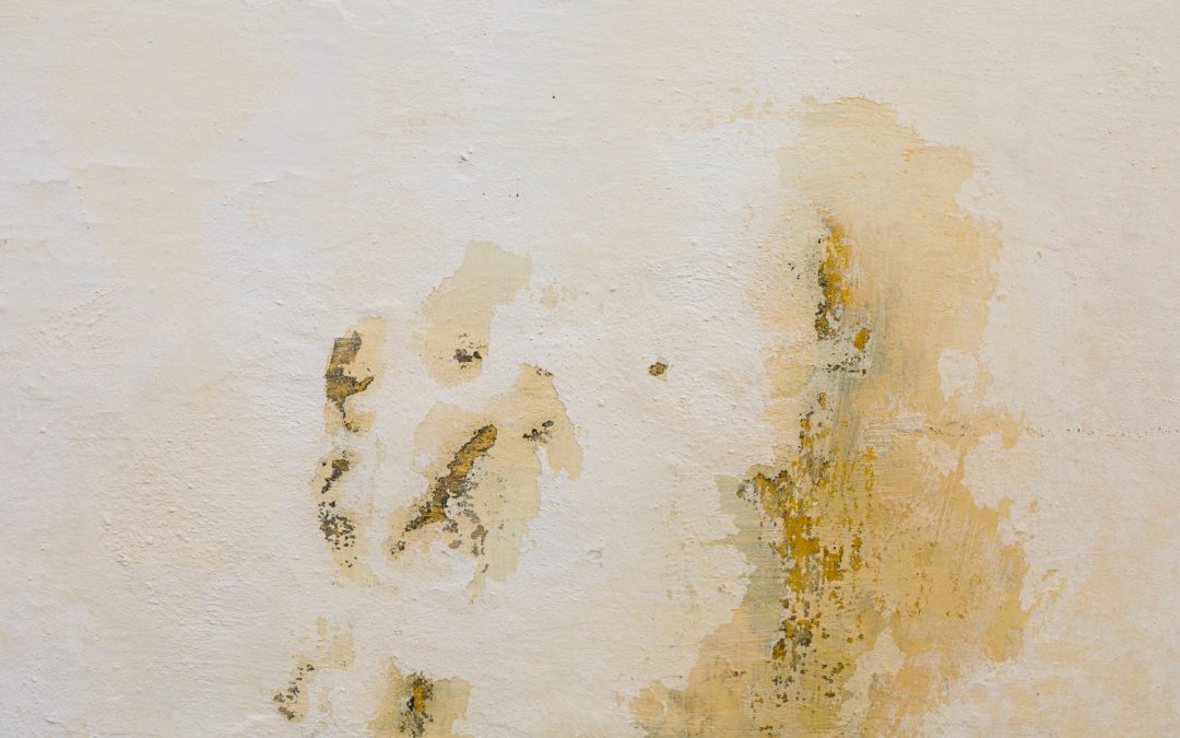 Paint Problems That Signal Bigger Issues