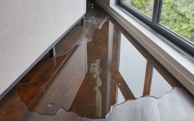 What Should You Do Immediately After Water Damage in Incline Village?
