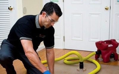 Why Is Water Damage So Destructive to Lake Tahoe Homes and Cabins?