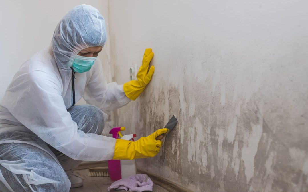 Detecting Mold Behind Your Walls