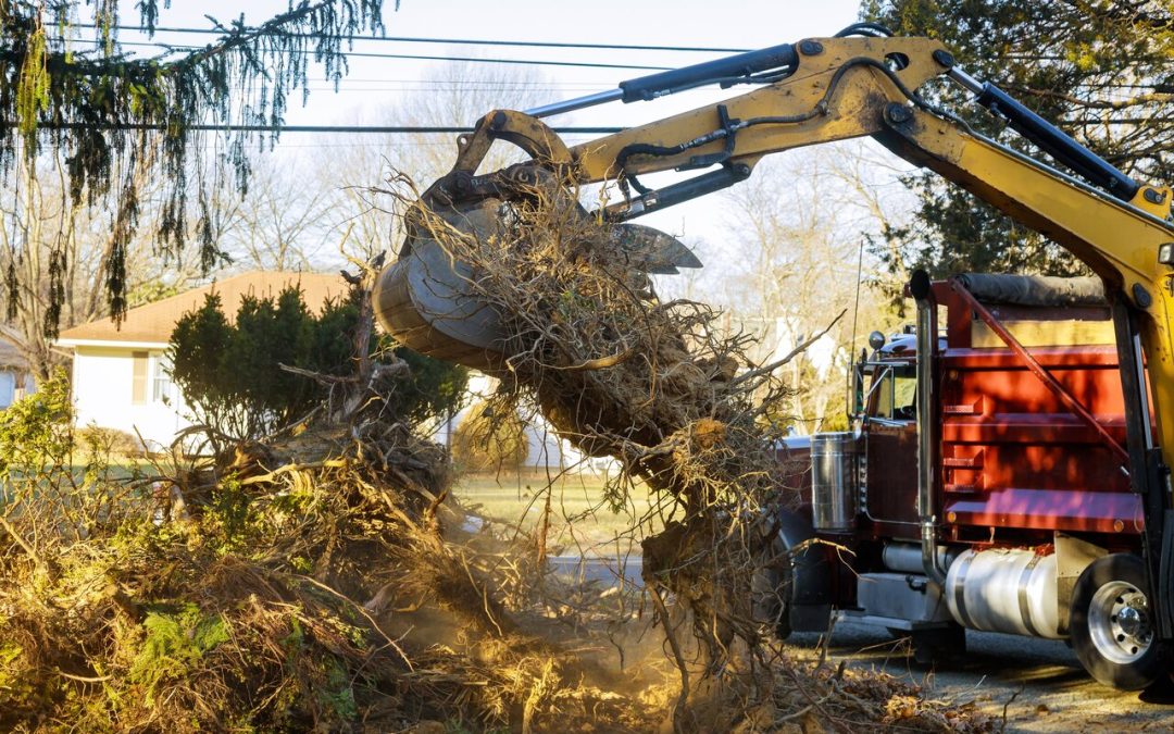 The Importance of Professionalism in Disaster Restoration: What You Need to Know